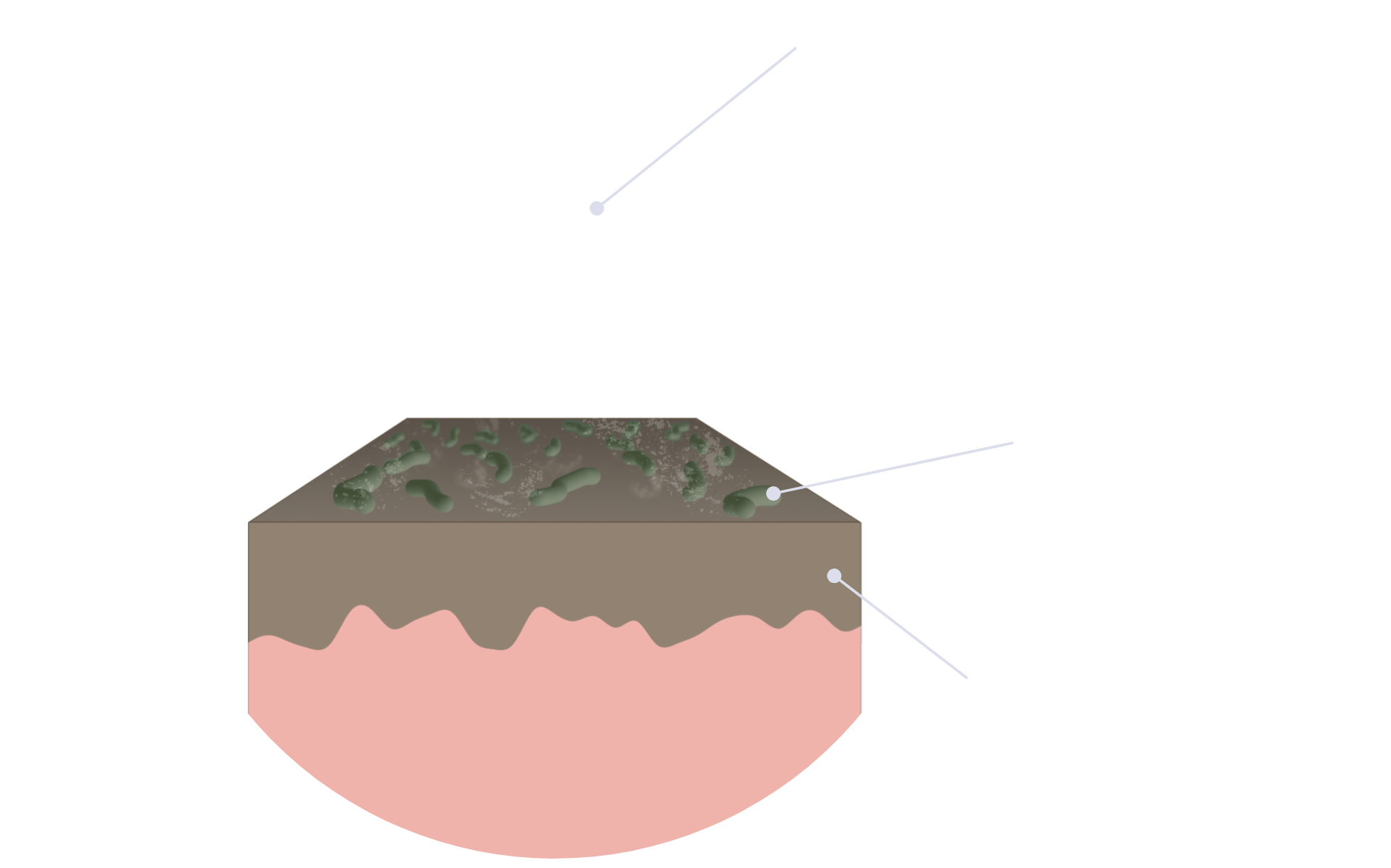 Bacteria emitting VOCs